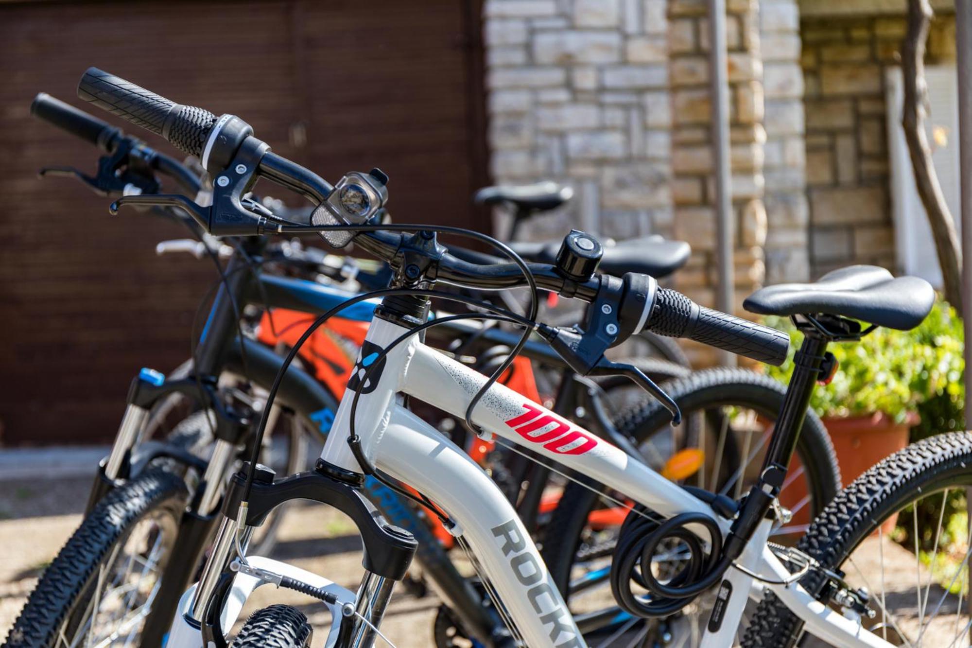 Apartment Tesic Close To The Sea With Shared 4Xbicycles Fažana Zewnętrze zdjęcie