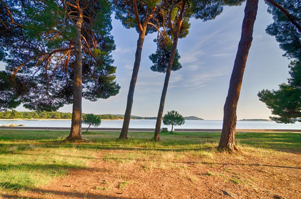 Apartment Tesic Close To The Sea With Shared 4Xbicycles Fažana Zewnętrze zdjęcie
